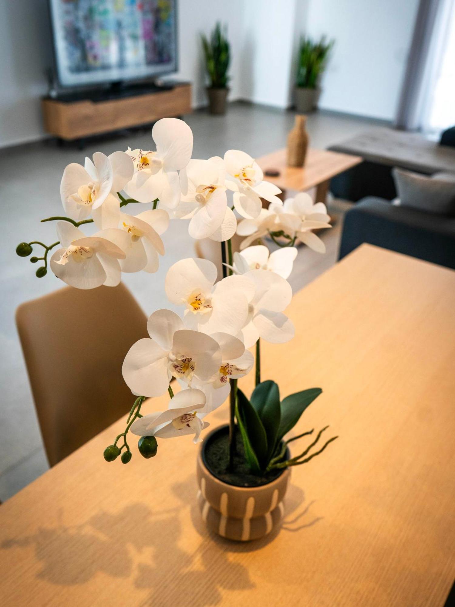 White Luxury Apartment Tríkala Buitenkant foto
